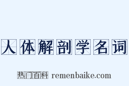 人体解剖学名词是什么意思的图片